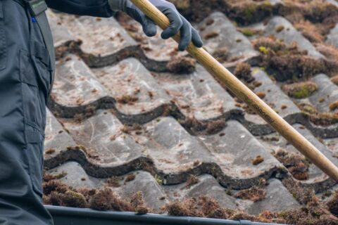 Leicestershire Roof Moss Removal Experts