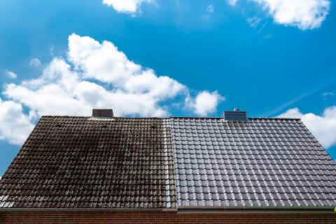 Expert Roof Cleaning & Coating in Fleckley