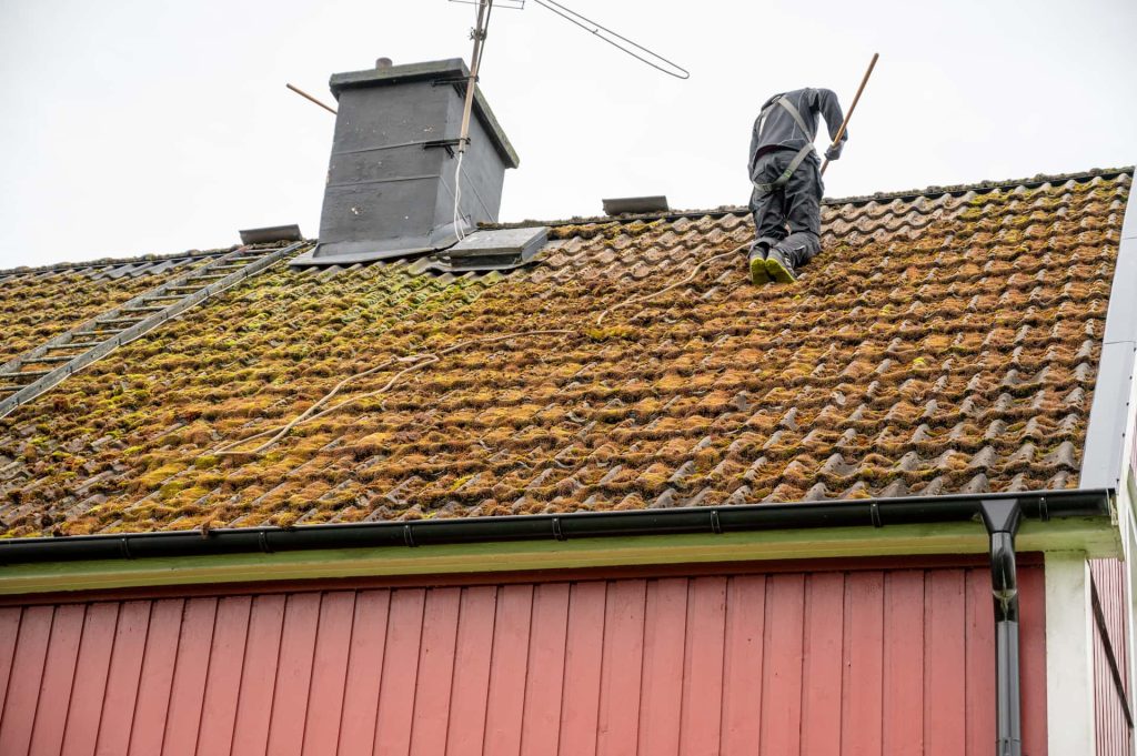 Roof moss removal services Leicestershire