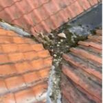 Roof Repairs Leicester